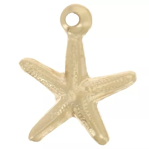Thin starfish charm 9.5x8.5 mm - Gold-filled x1