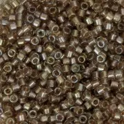 Miyuki Delica 11/0 DB2396 - Inside Dyed color - Fancy Moth x8gr