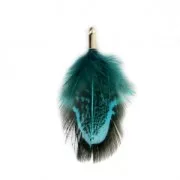 35 mm pheasant feather with a golden terminator - Petrol/Black x1