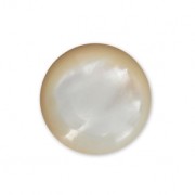 Round cabochon 10 mm White Mother-of-Pearl x1|raw }}