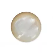 Round cabochon 10 mm White Mother-of-Pearl x1