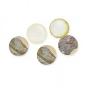 Round cabochon 10 mm White Mother-of-Pearl x1
