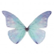 Butterfly without hole 50x35 mm Blue x1