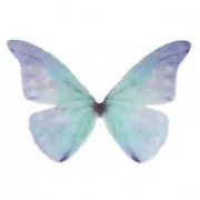Butterfly without hole 50x35 mm Blue x1