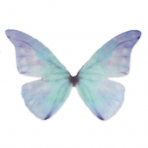 Butterfly without hole 50x35 mm Blue x1