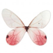 Butterfly without hole 50x35 mm White/Red x1