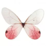 Butterfly without hole 50x35 mm White/Red x1