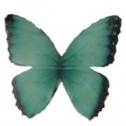 Butterfly without hole 50x35 mm Green/Black x1|raw }}