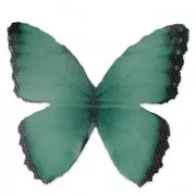 Butterfly without hole 50x35 mm Green/Black x1