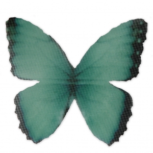 Butterfly without hole 50x35 mm Green/Black x1