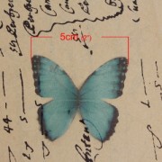 Butterfly without hole 50x35 mm Green/Black x1