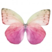 Butterfly without hole 50x35 mm Fuchsia/Violet x1|raw }}