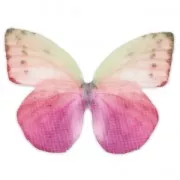 Butterfly without hole 50x35 mm Fuchsia/Violet x1