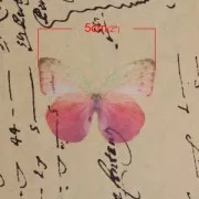 Butterfly without hole 50x35 mm Fuchsia/Violet x1