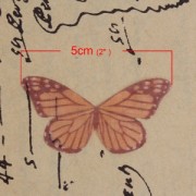 Butterfly without hole 50x25 mm Orange/Brown x1