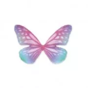 Butterfly without hole 30x21 mm Red/Blue x1