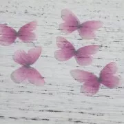 Butterfly without hole 30x21 mm Violet/Fuchsia x1