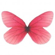 Butterfly without hole 50x30 mm Light Red/Brown x1|raw }}