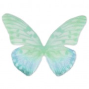 Butterfly without hole 50x35 mm Green/Yellow x1|raw }}