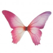 Butterfly without hole 50x35 mm Fuchsia x1|raw }}