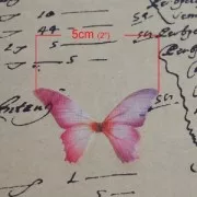 Butterfly without hole 50x35 mm Fuchsia x1