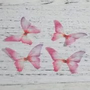 Butterfly without hole 50x35 mm Fuchsia x1