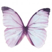 Butterfly without hole 50x35 mm Blue/Violet x1