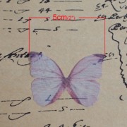 Butterfly without hole 50x35 mm Blue/Violet x1