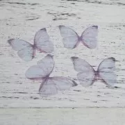 Butterfly without hole 50x35 mm Blue/Violet x1