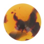 Resin cabochon 12 mm Tortoiseshell Brown/Black x1|raw }}
