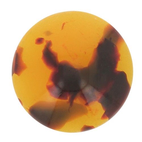 Resin cabochon 12 mm Tortoiseshell Brown/Black x1