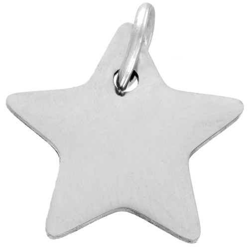 Star charm 12x13 mm - 304 stainless steel x1