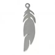 Stainless steel feather charm 24x6 mm x1