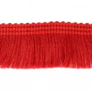 Ribbon and Gallon with fringes