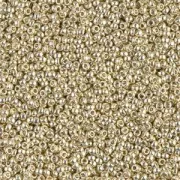 Miyuki Duracoat 15/0 Seed beads 4201 - Galvanized Silver x 100 g
