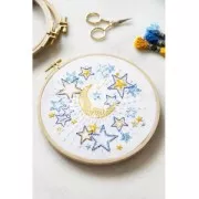 Embroidery Thread DMC Mouliné Etoile 617 Light Grey (C415) x8m