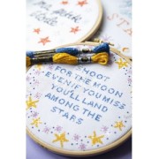 Embroidery Thread DMC Mouliné Etoile 617 Chocolate (C938) x8m