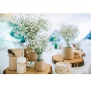 75 Rough wood rondelles 15 - 30 mm for DIY creation