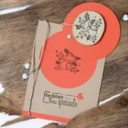 75 Rough wood rondelles 15 - 30 mm for DIY creation