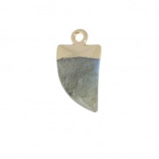 Mini tooth pendant with a synthetic faceted gemstone 20mm Labradorite/Gold Tone x1