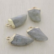 Mini tooth pendant with a synthetic faceted gemstone 20mm Labradorite/Gold Tone x1