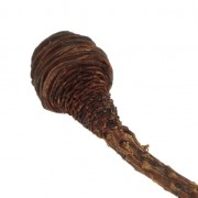 Dried Platyspermum for DIY creation x1 stalk