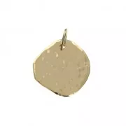 Irregular charm with jump ring 15.5 mm Gold Plated 3 microns x1