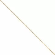 Belcher chain 1.9 mm fine Gold plated x 1m