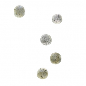 Small round 3 mm cabochons - Labradorite x5
