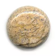 Round cabochon 20mm Picture Jasper