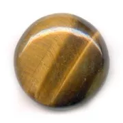 Round cabochon 20mm Tiger Eye