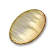 Mother-of-Pearl Oval Pucks 15x10 mm Bronze x10