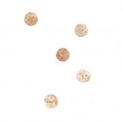 Small round 3 mm cabochons - Sun Stone x5