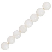Natural White Shell Beads 3mm x25